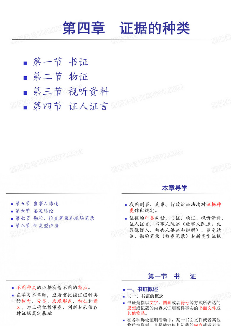 证据法学-第四章证据的种类