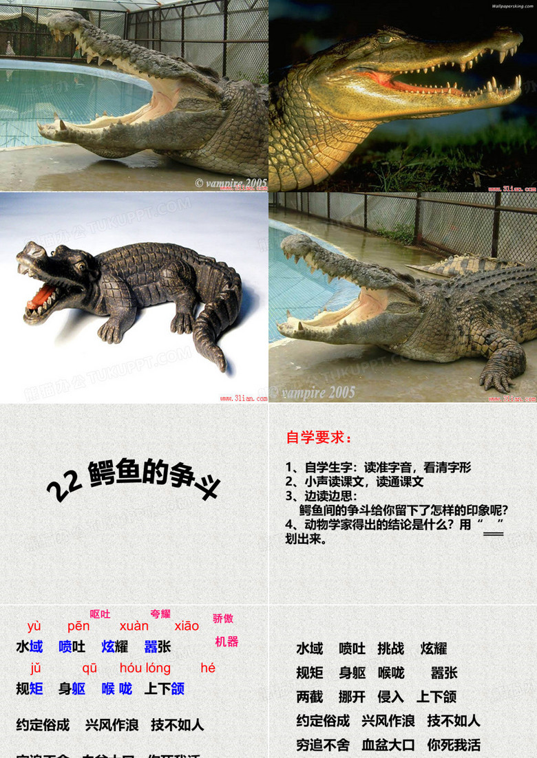 22_鳄鱼的争斗