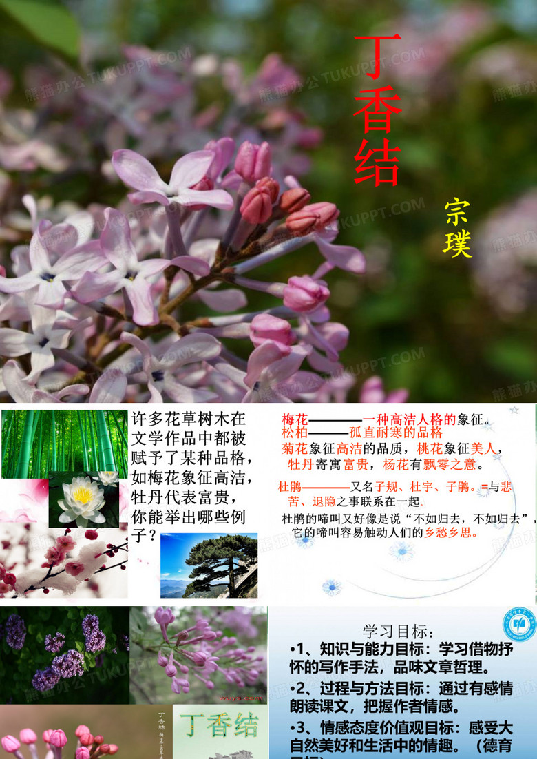 丁香结