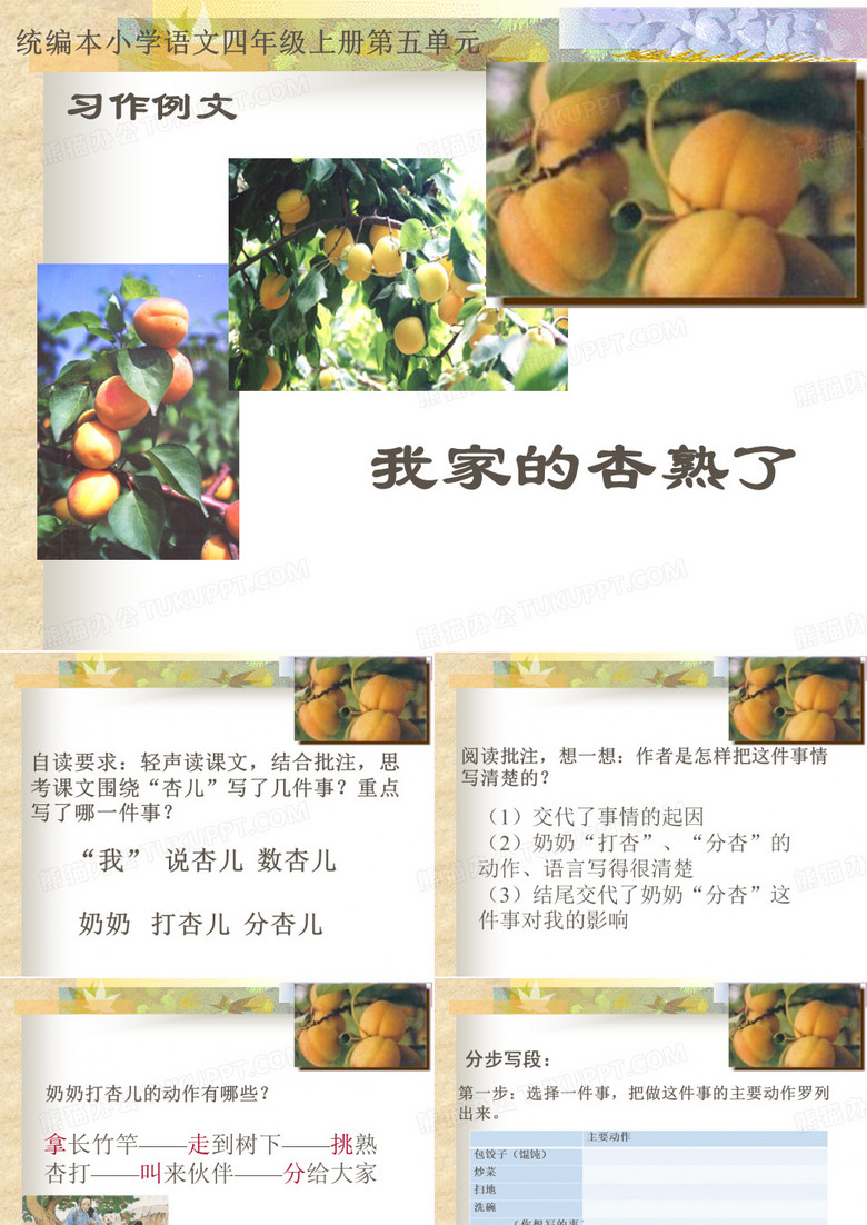 习作例文：我家的杏熟了