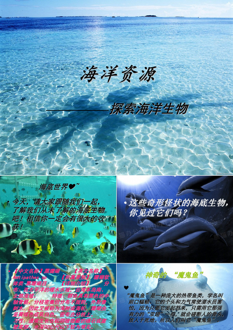 海洋资源