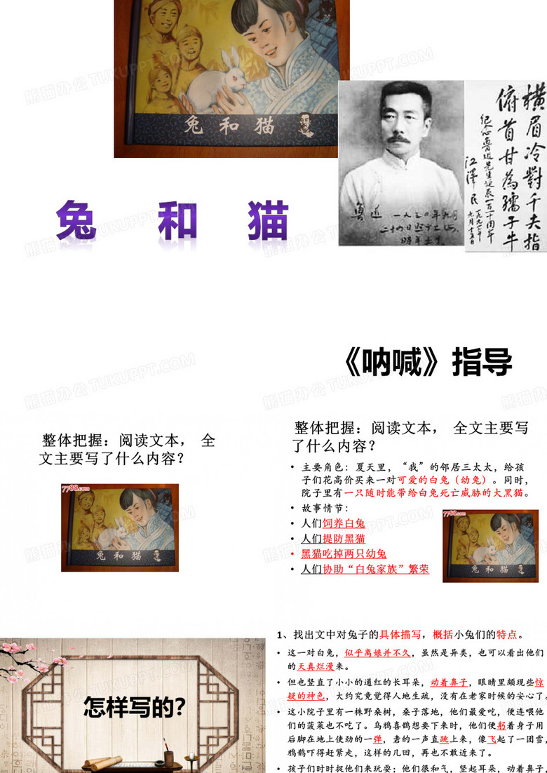 兔和猫