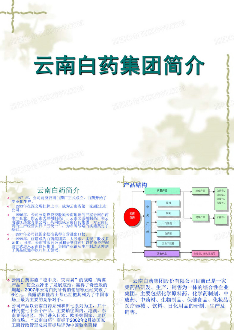 云南白药案例分析