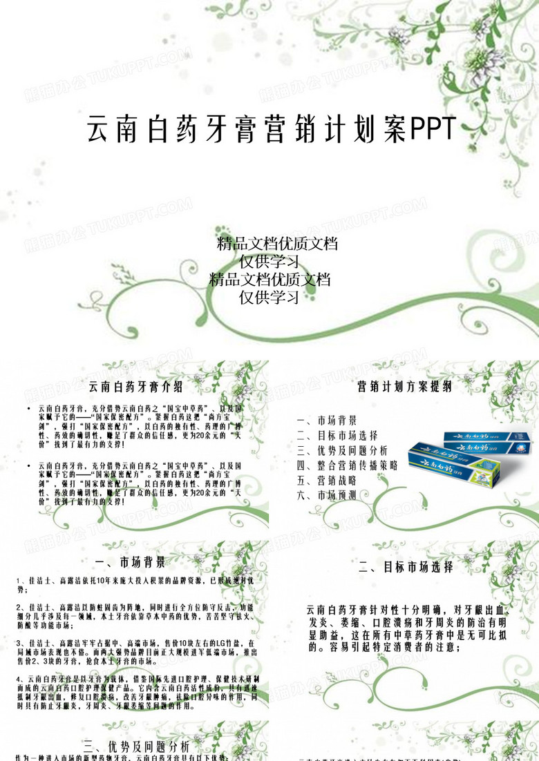 云南白药牙膏营销计划案PPT
