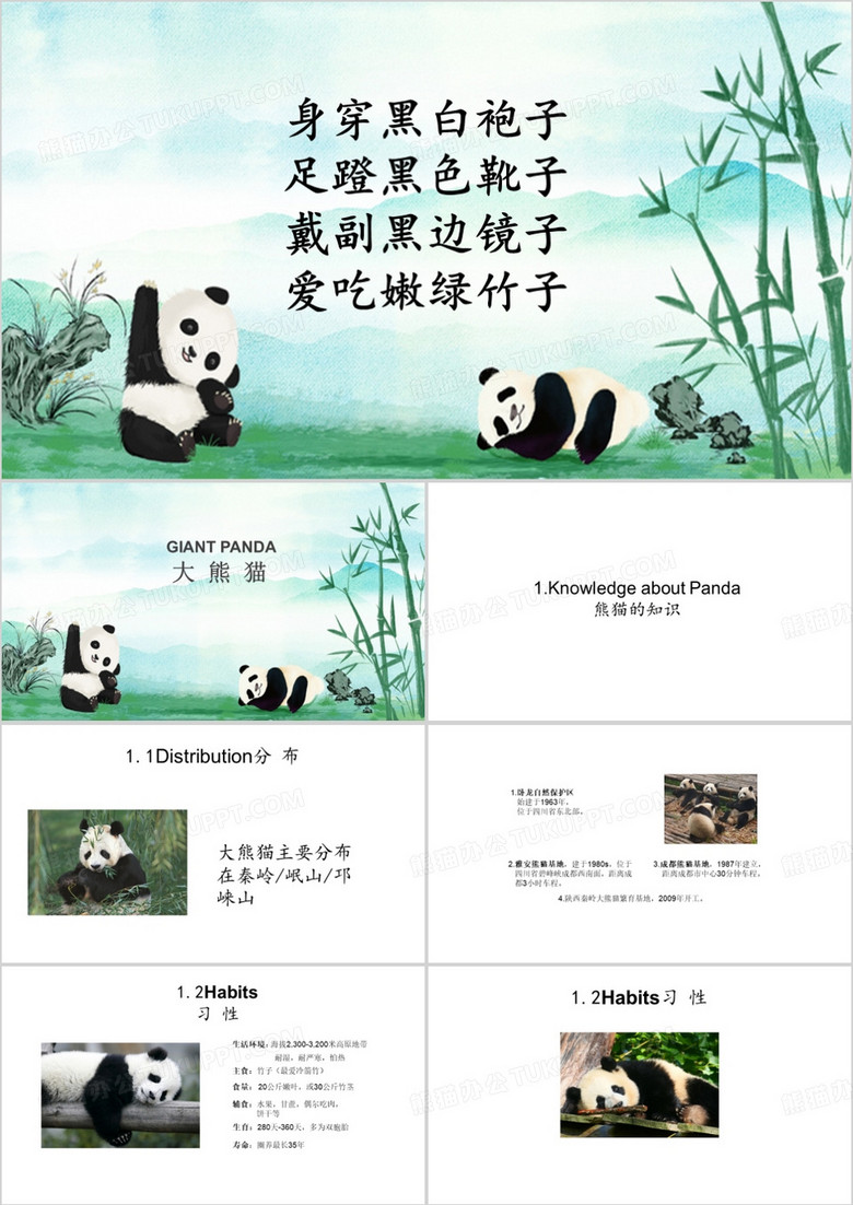绿色简约风熊猫介绍PPT模板
