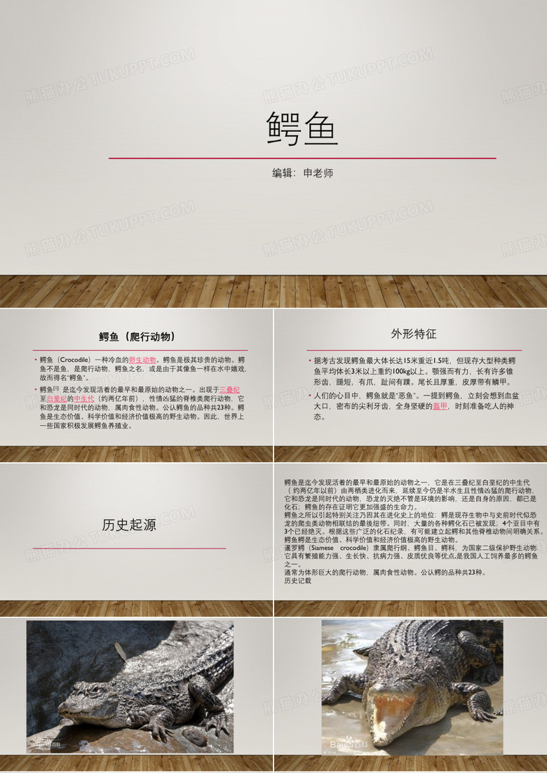鳄鱼