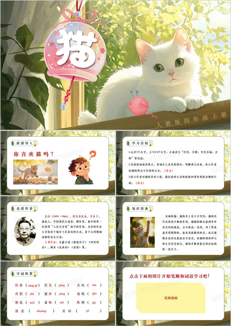 绿色清新风猫课文PPT模板