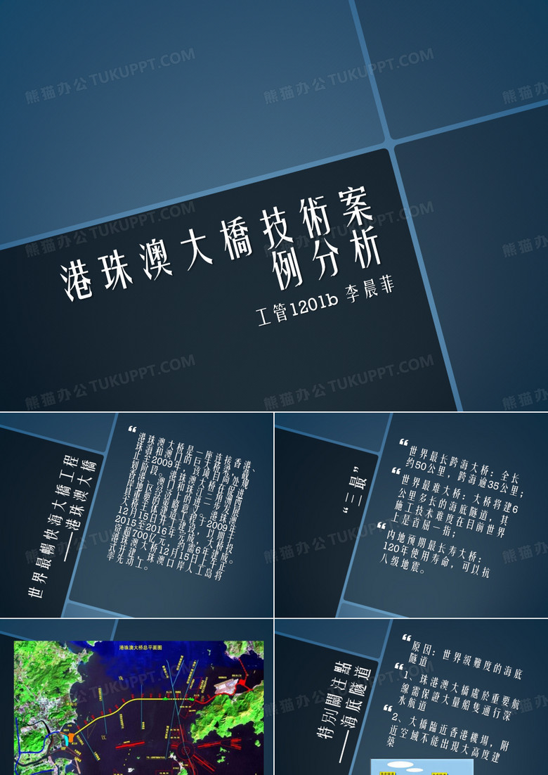 港珠澳大桥项目案例