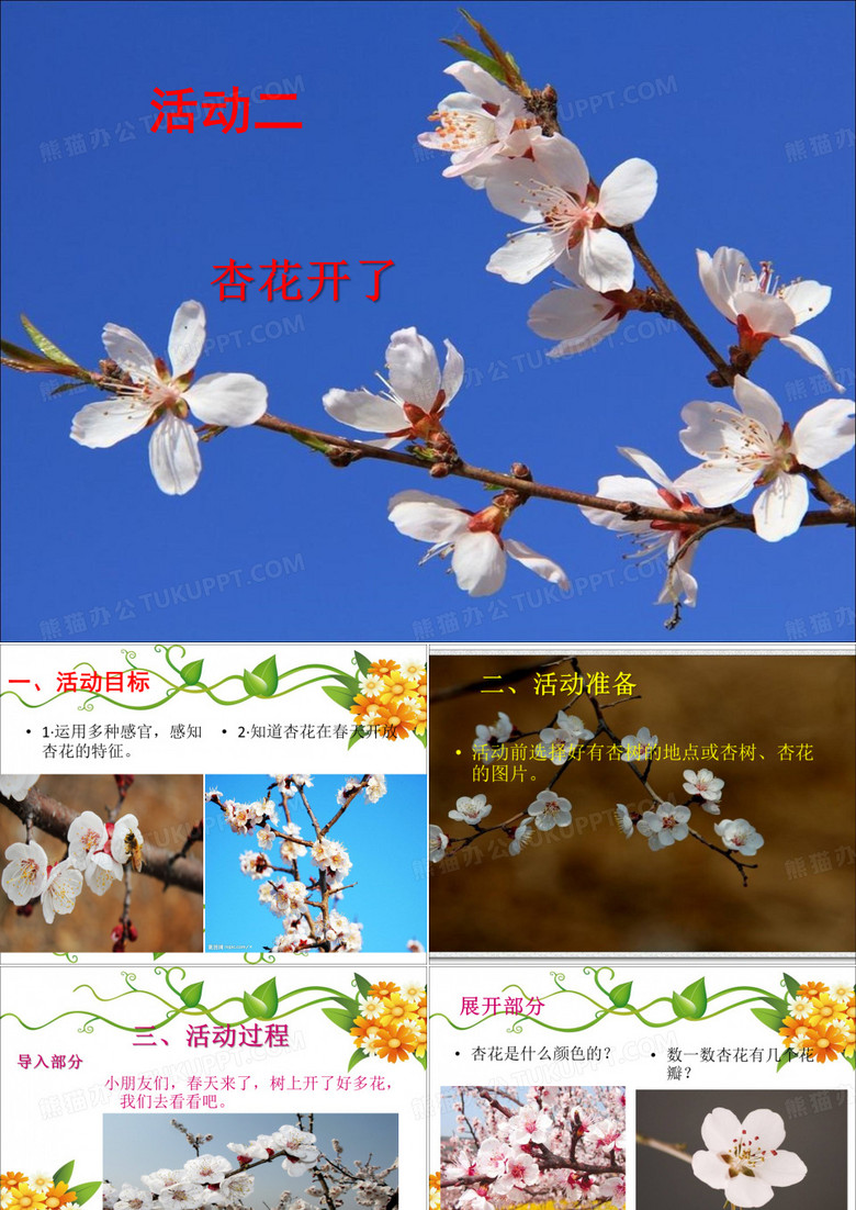 活动二杏花开了