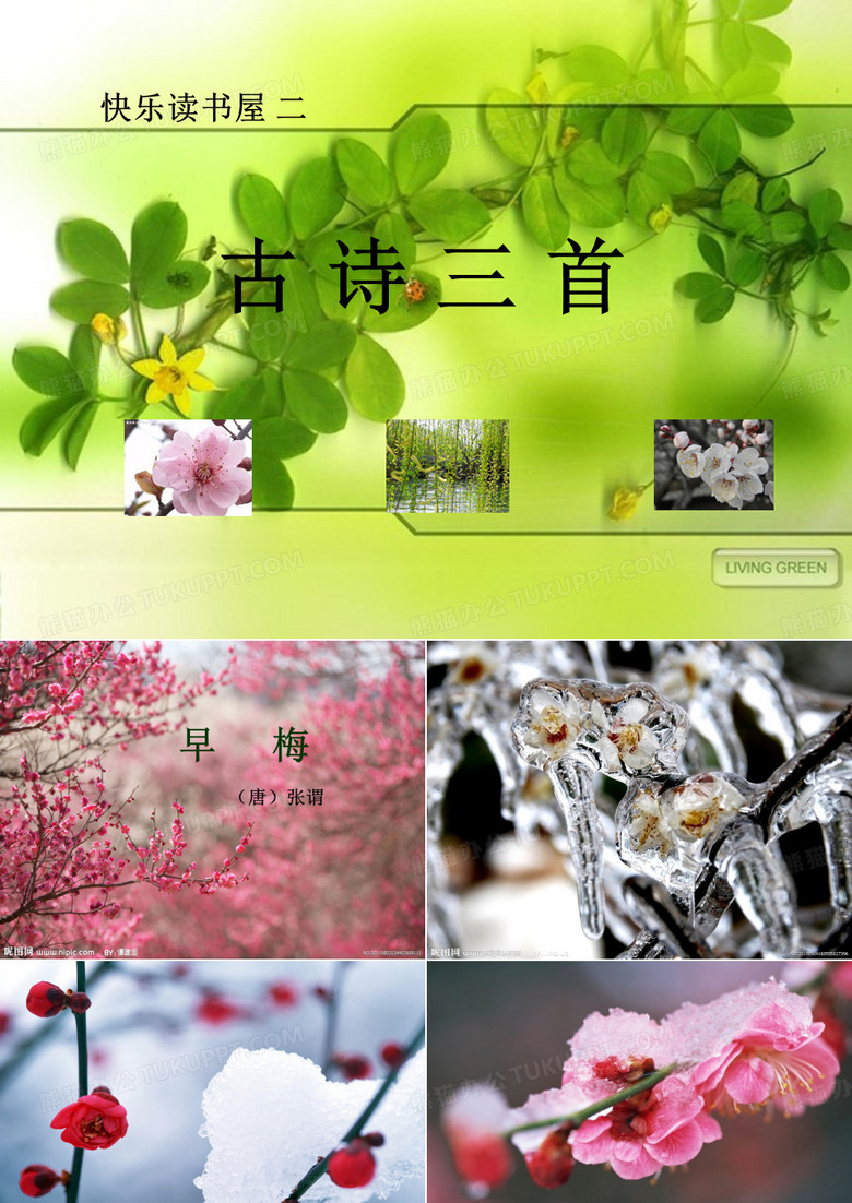 早梅,新柳,北陂杏花