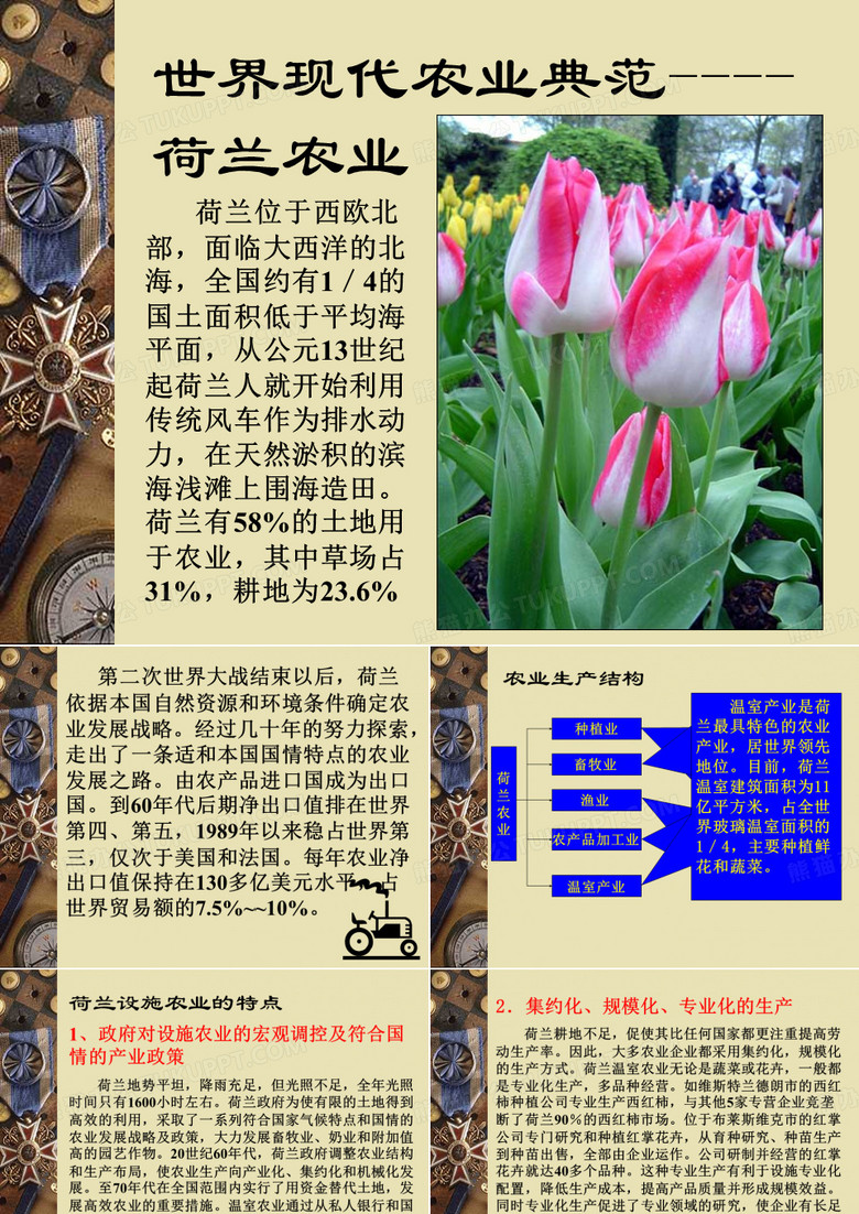荷兰农业