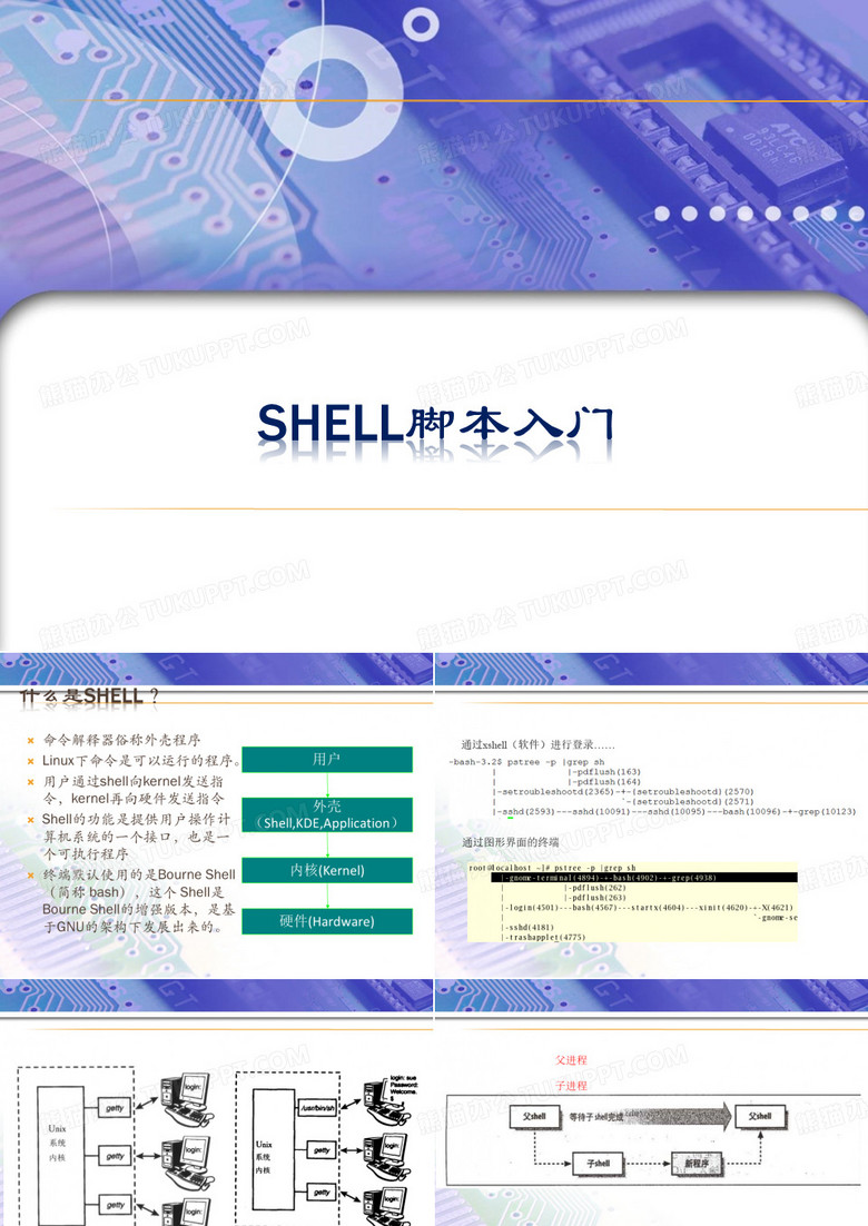 shell脚本