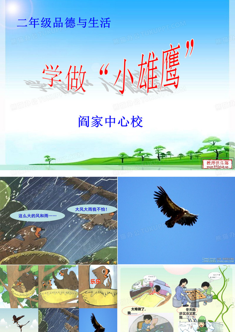 小雄鹰
