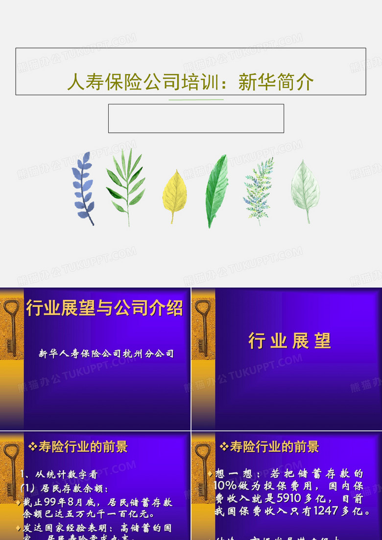 人寿保险公司培训：新华简介共35页