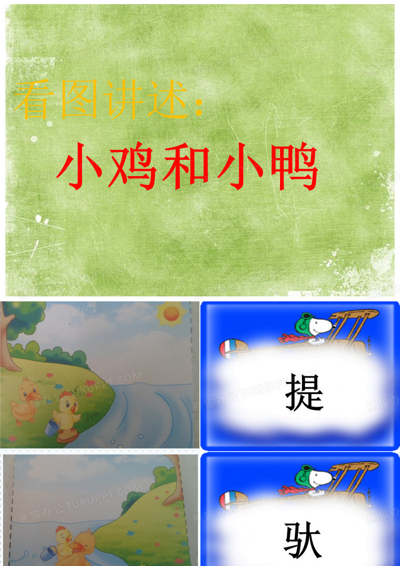 大班语言《小鸡和小鸭》-国赛一等奖PPT课件