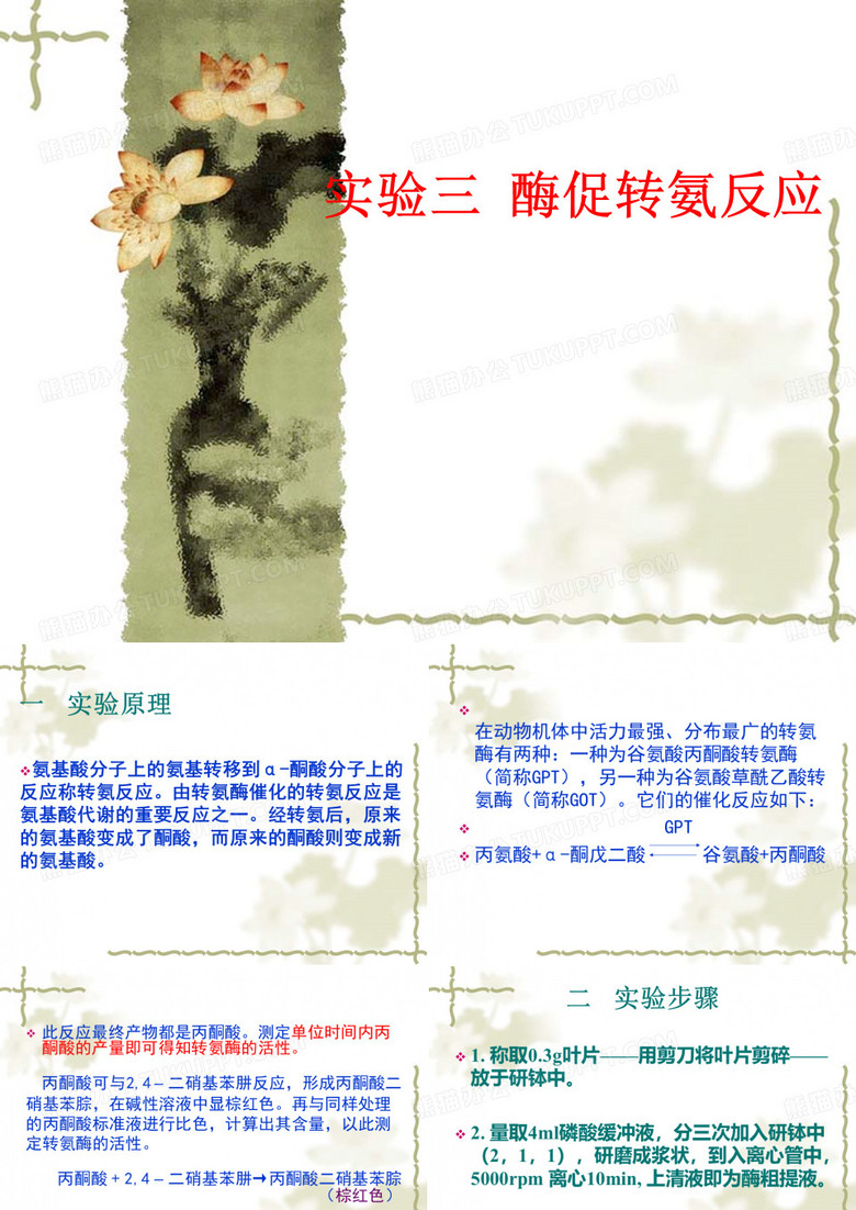 实验三  酶促转氨反应