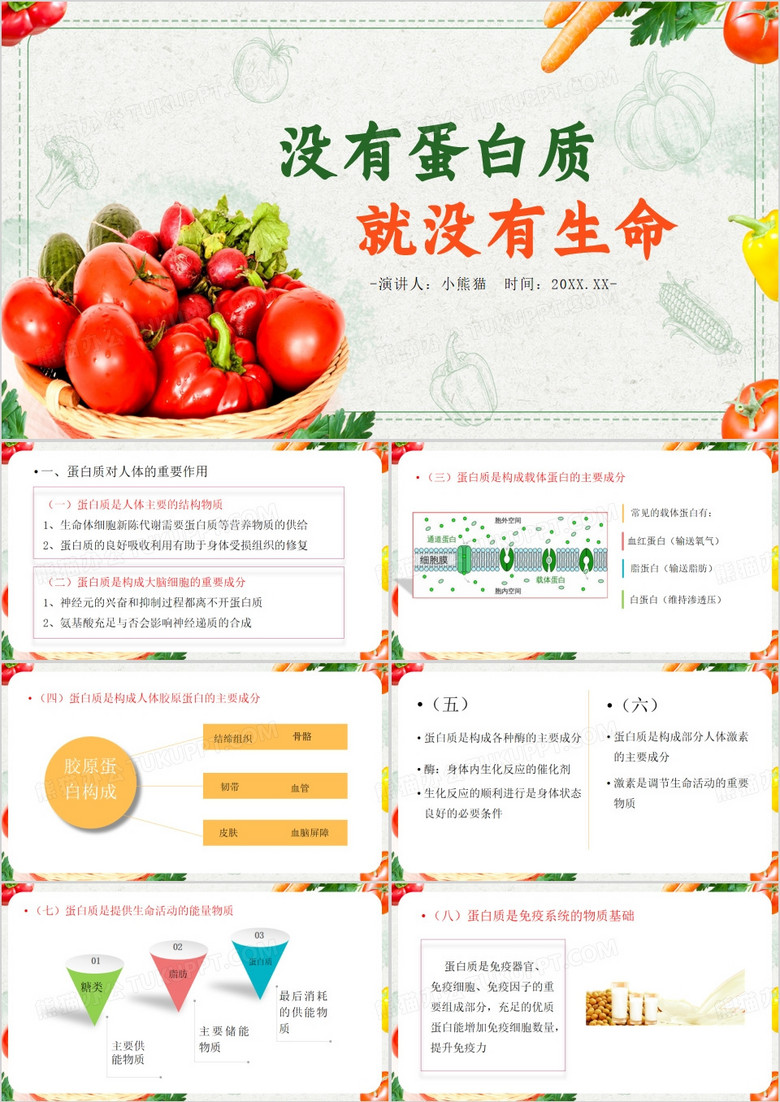 没有蛋白质就没有生命PPT模板