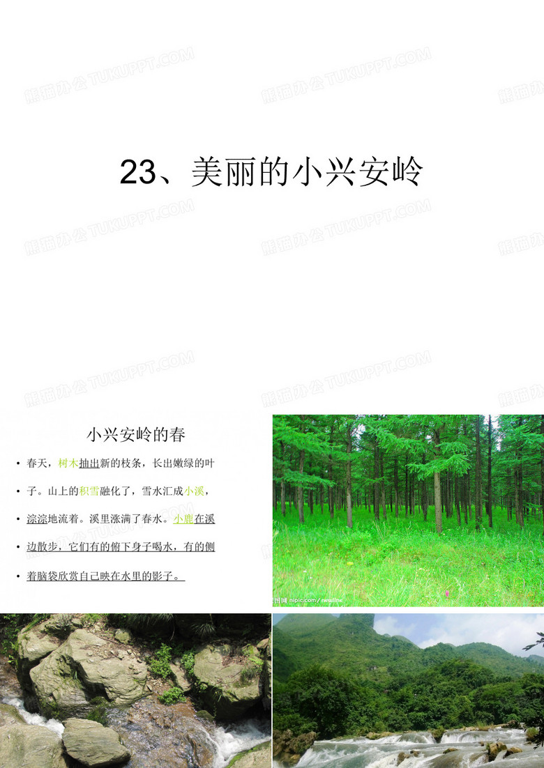 美丽的小兴安岭