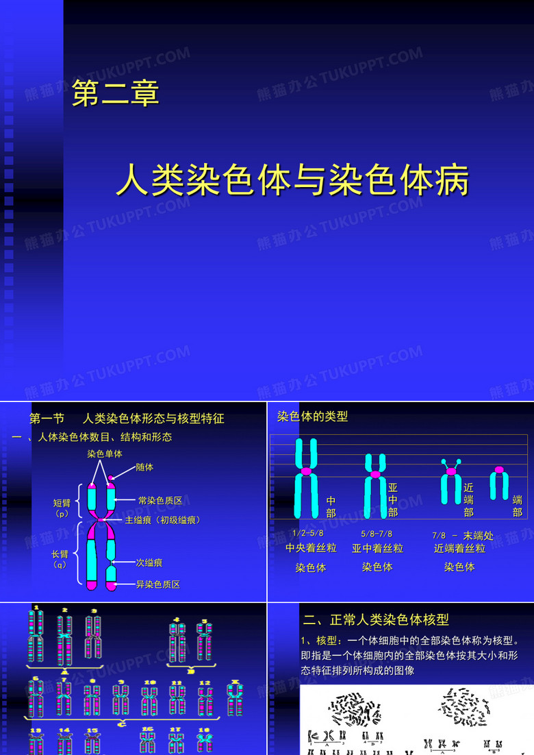 人染色体与染色体病