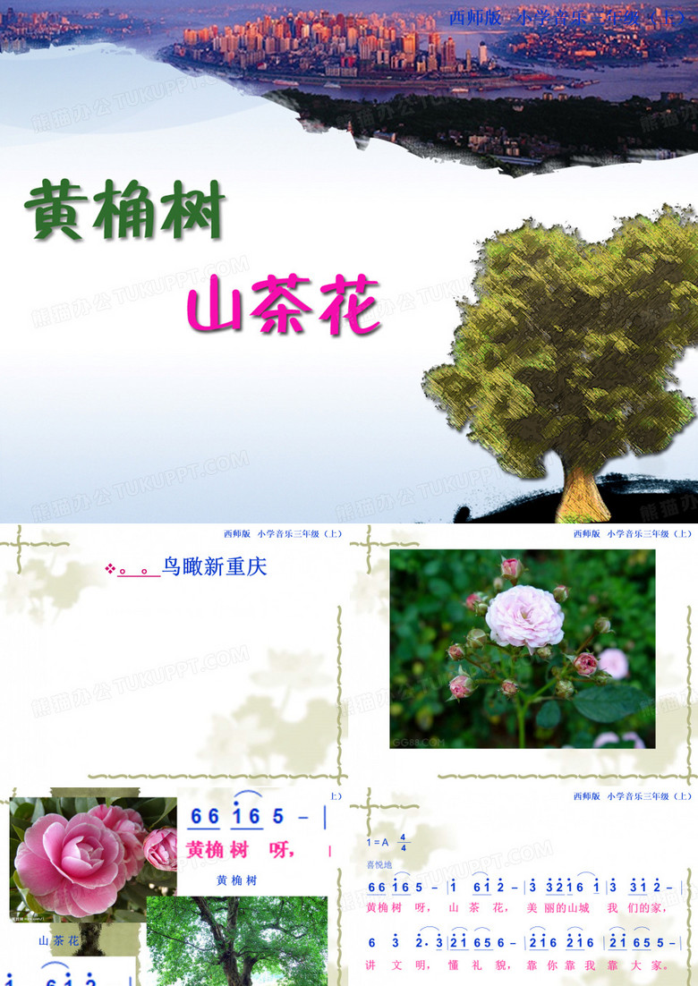 黄桷树,山茶花