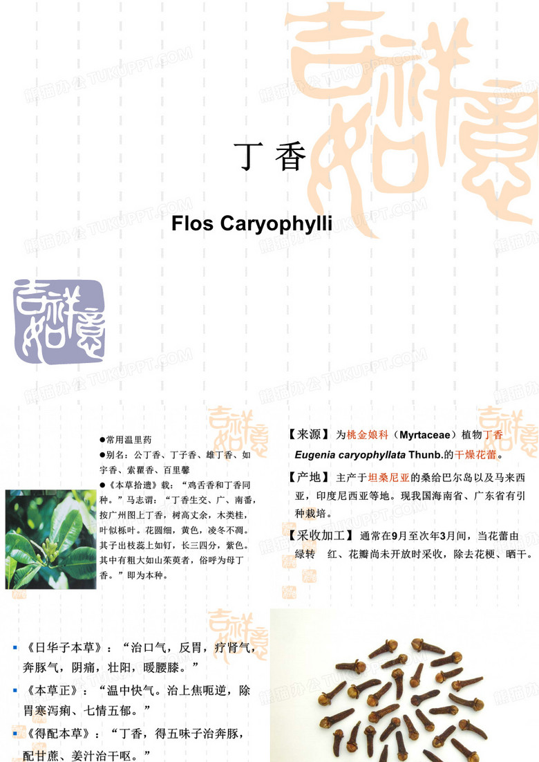 丁香