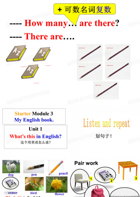 2019教育外研版七年级上册英语课件：Starter Module 3 Unit 1 What's this in English共12张PPT数学