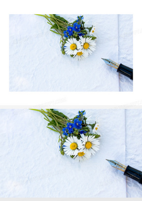 菊花与一支笔近景特写摄影高清图片