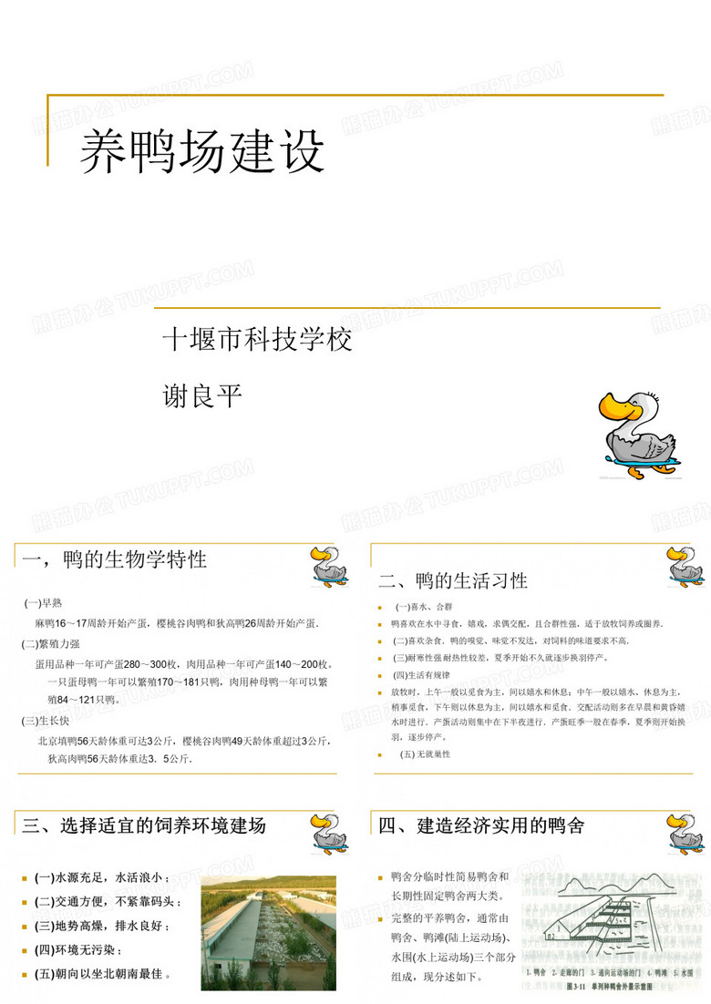 鸭场建设