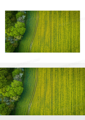 绿色农田图片素材