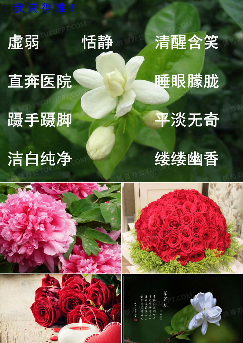 淡淡的茉莉