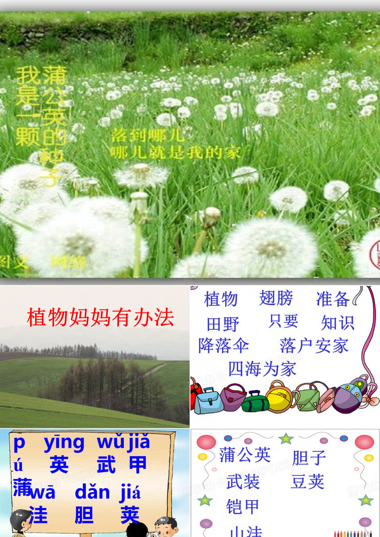 植物妈妈有办法