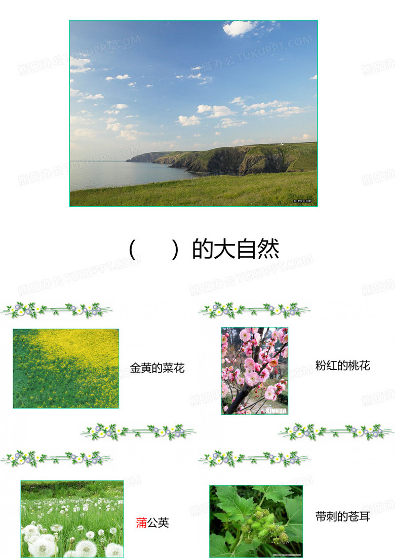 植物妈妈有办法