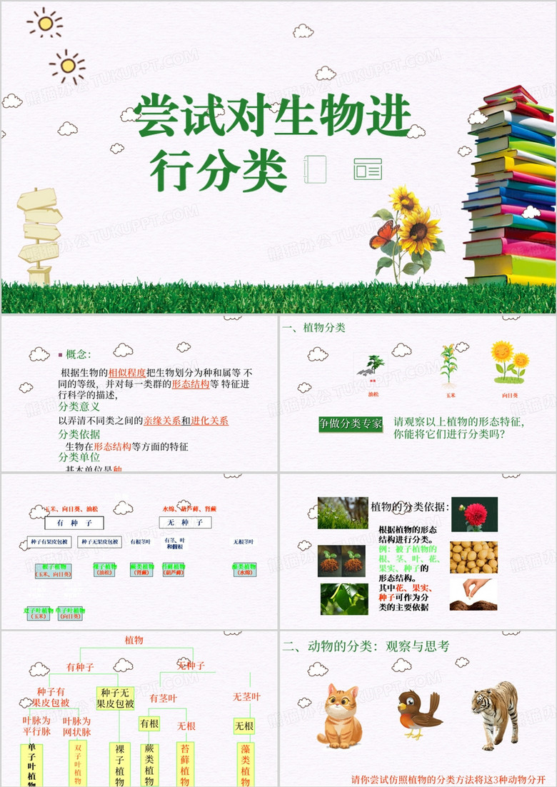 绿色尝试对生物进行分类PPT模板