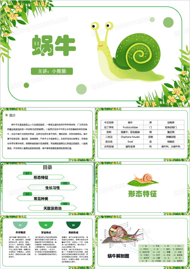 蜗牛语文课件介绍PPT模板