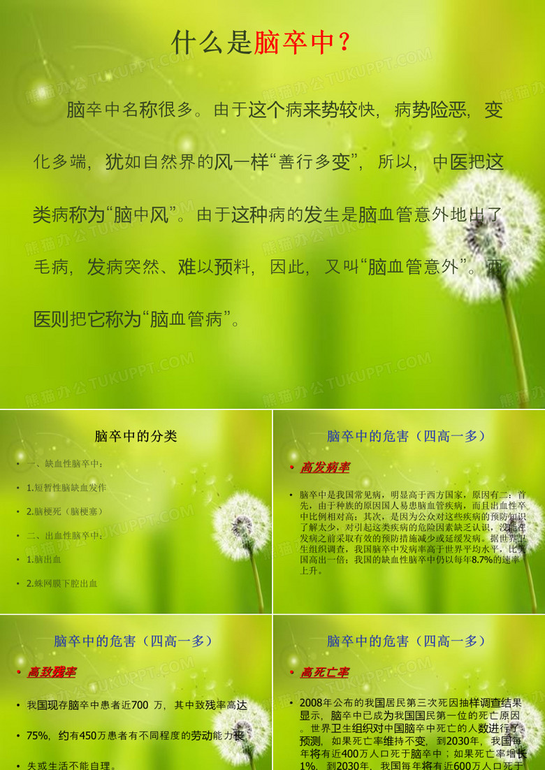 脑卒中的防治.ppt