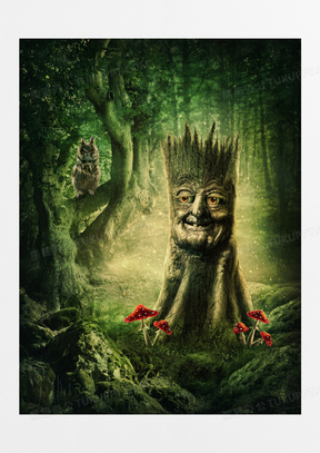 树林中的猫头鹰与人面树木创意图片