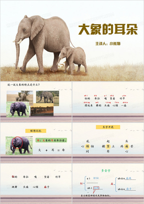 大象的耳朵公开课PPT模板