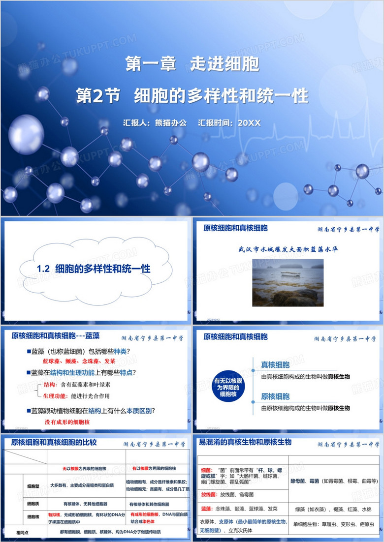 细胞的统一性和多样性PPT模板
