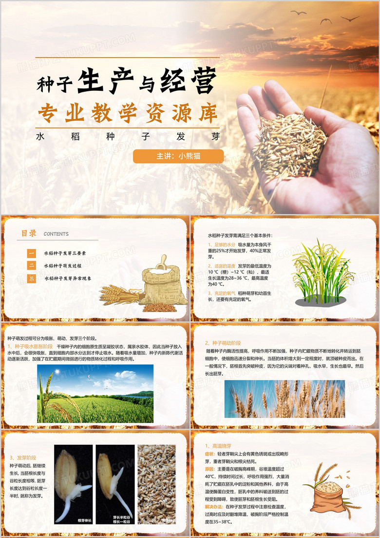 简约风水稻种子生产与经营PPT模板