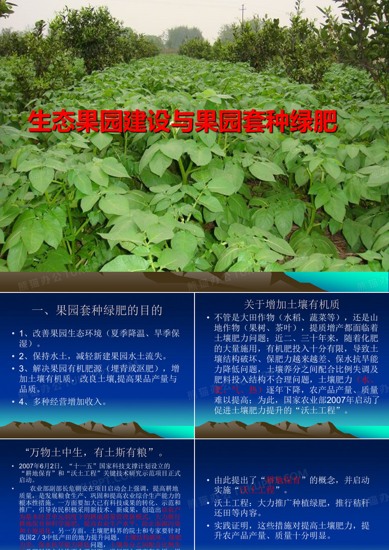生态果园建设与果园套种02