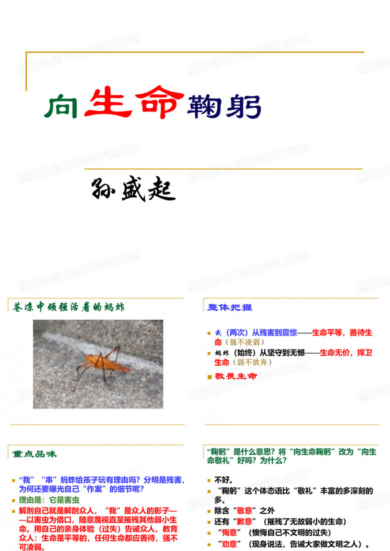 向生命鞠躬