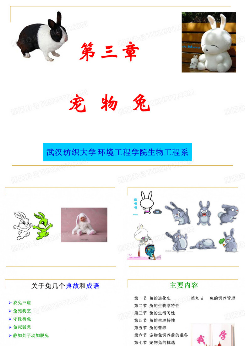 宠物饲养与鉴赏-第三章兔