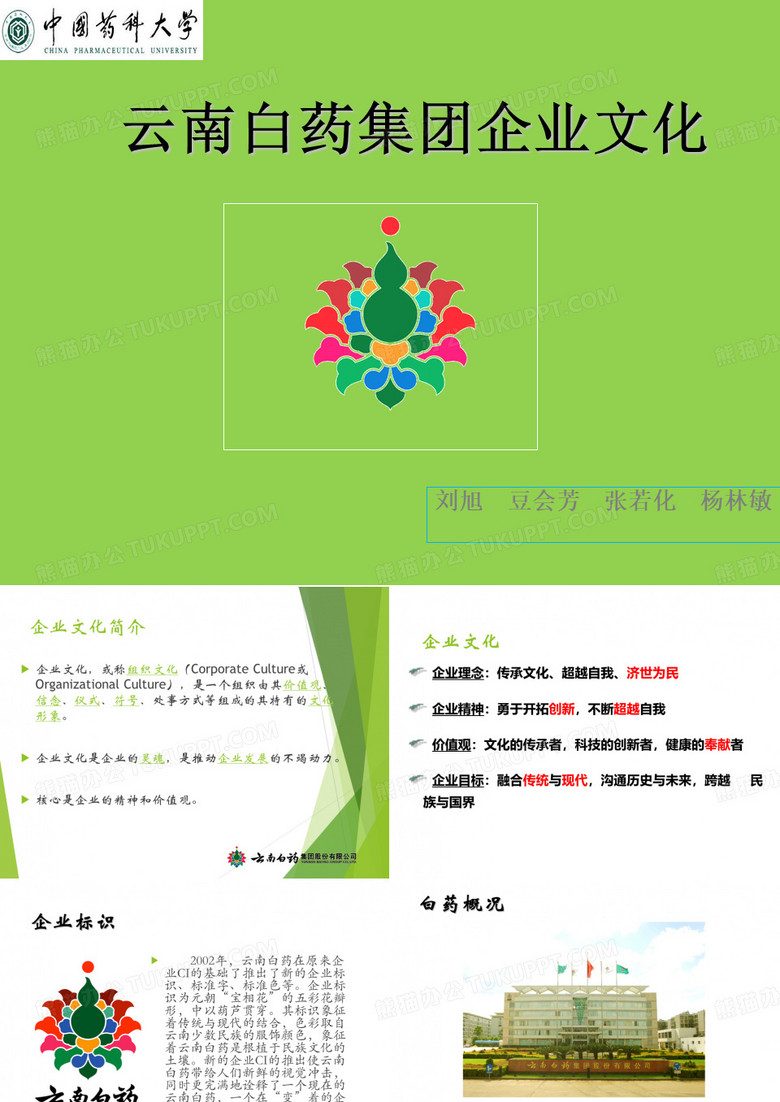 云南白药企业文化模板