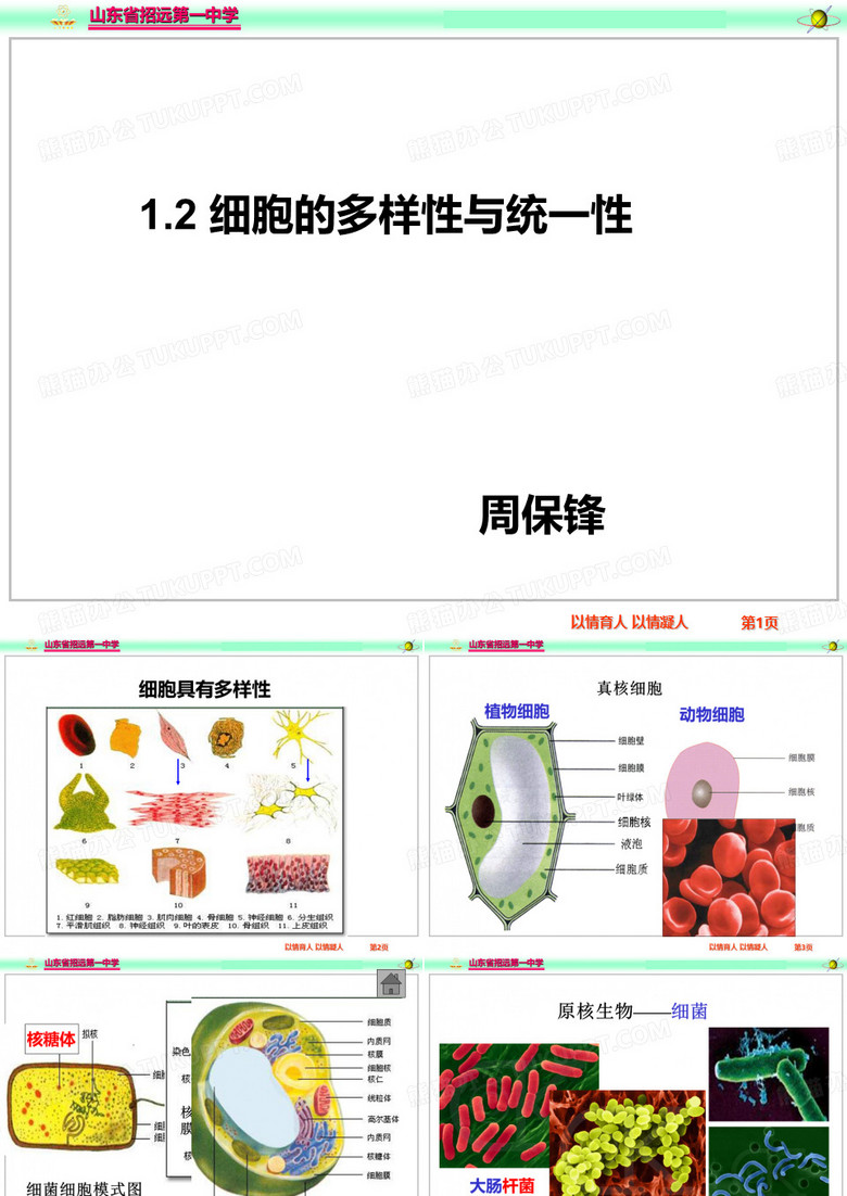 细胞的多样性和统一性