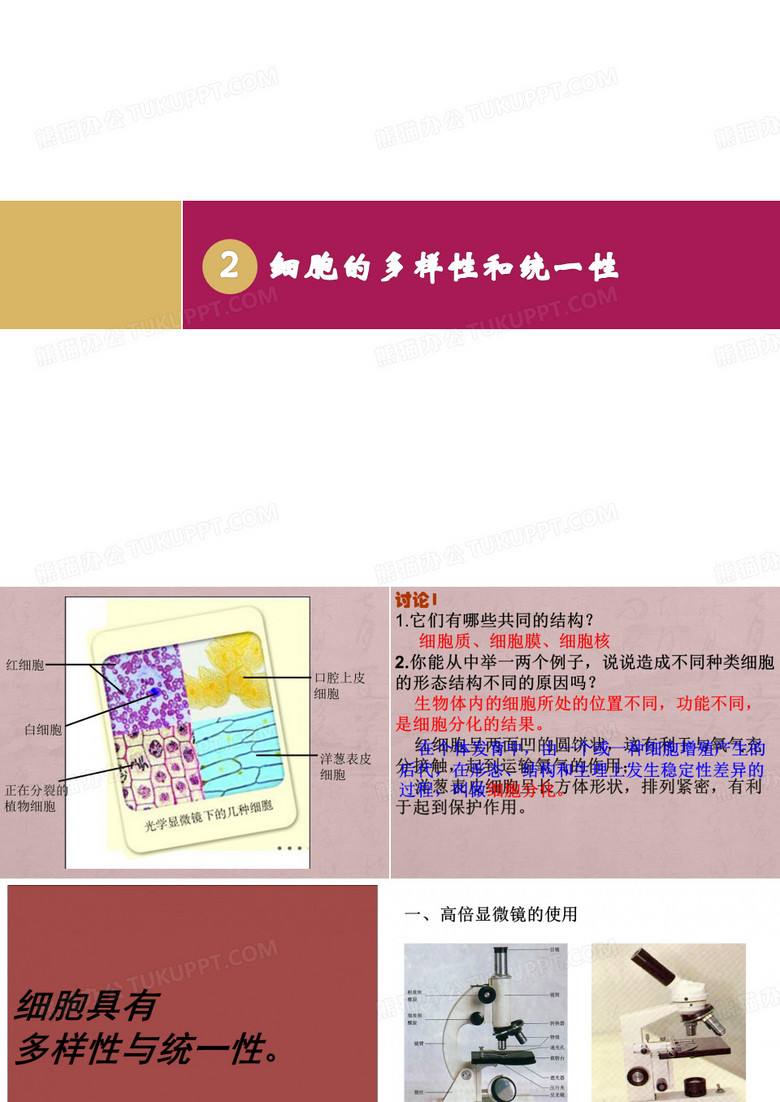 细胞的多样性和统一性