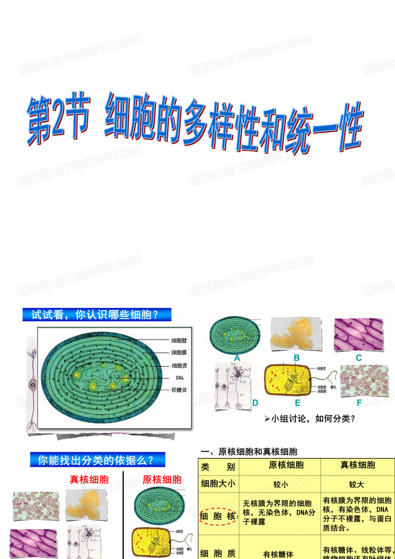 细胞的多样性和统一性