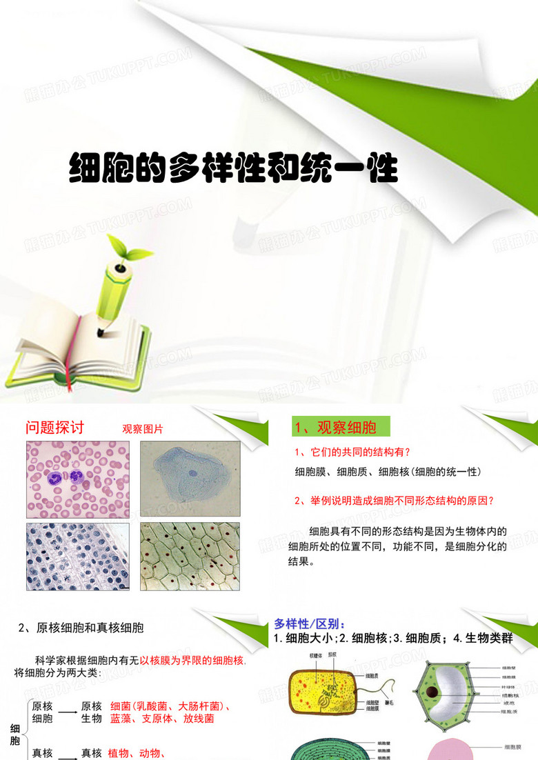 细胞的多样性和统一性