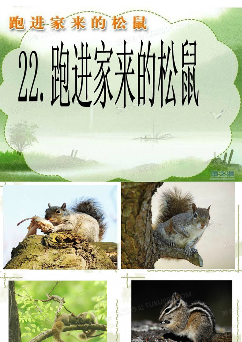 跑进家来的松鼠