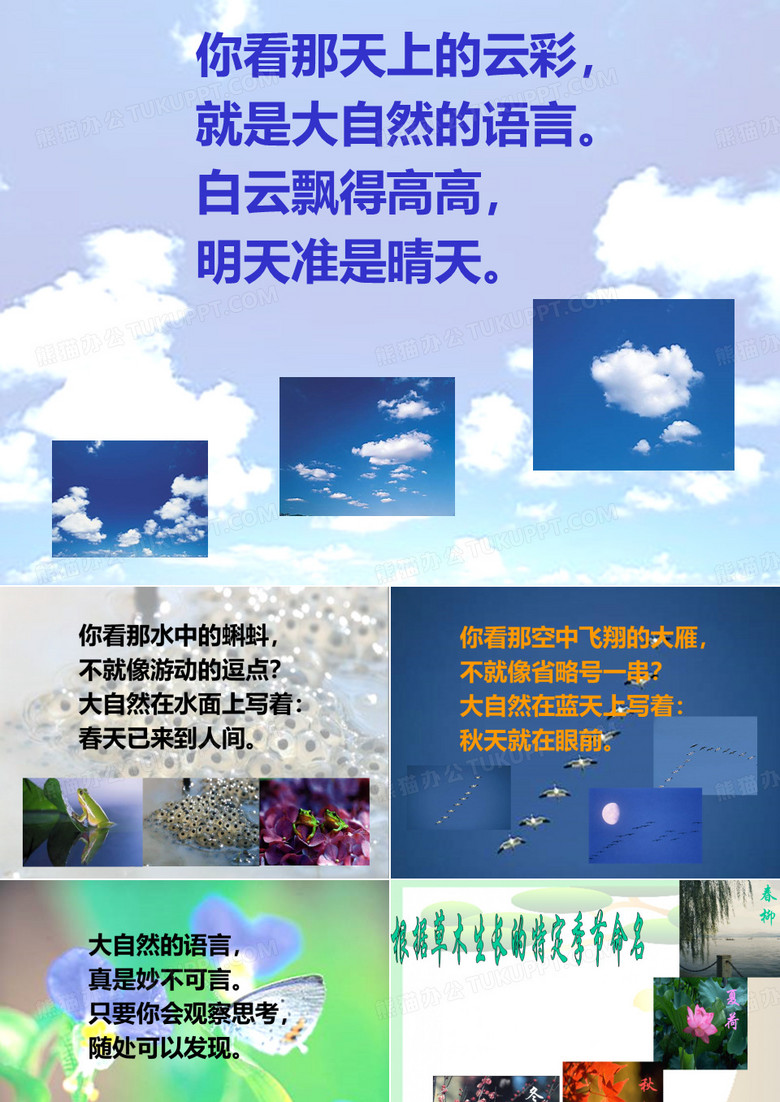 《大自然的语言》课件