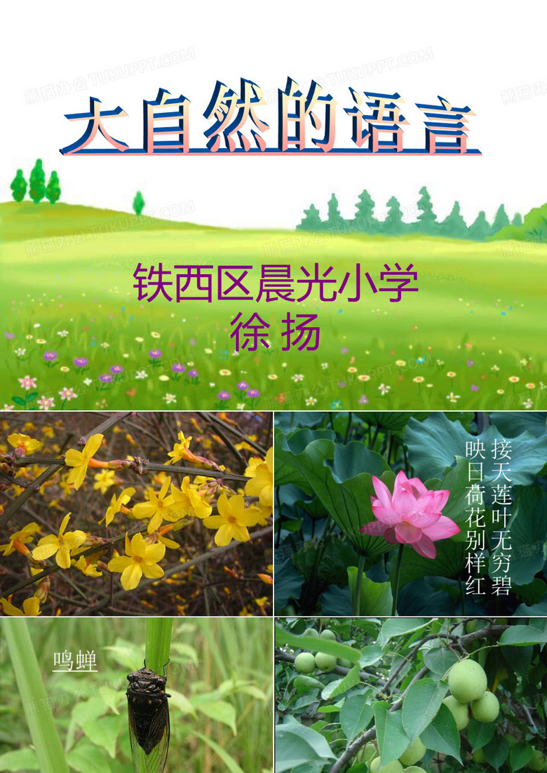 大自然的语言课件